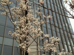 -同济大学(嘉定校区)