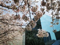 -龙美术馆西岸馆-停车场