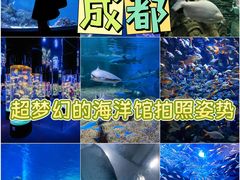 -成都浩海立方海洋公园