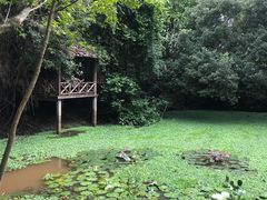 -Bamboo Saturday Market(Nana Jungle)