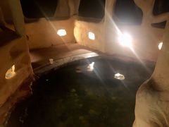 -天门沟九州驿站树上汤泉