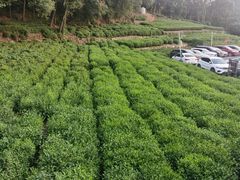 -杭州西湖风景名胜区-满觉陇四眼井