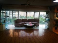 -喵百万·布偶·蓝金金渐层英短·猫舍(百子湾店)