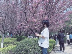 -西安青龙寺遗址景区