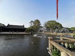 -江心屿景区