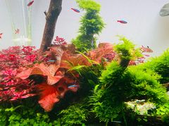 -重庆欢乐海底世界