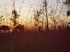 -汉长安城未央宫国家考古遗址公园