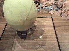 -新加坡飞禽公园
