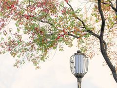 -老门东历史文化街区