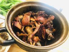 -斯丹姜母鸭·古法干香(涂门街总店)