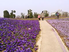 -南通洲际绿博园