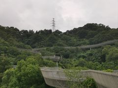 -福道