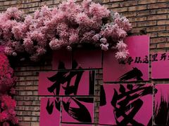 -西安电影制片厂