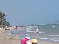 -东郊椰林