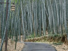 -苏州环秀晓筑养生度假村
