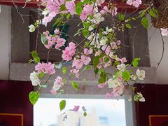 -深圳国际园林花卉博览园