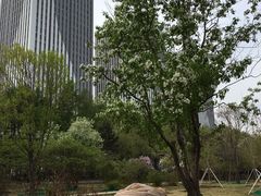 -长春公园(普阳街道)