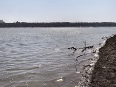 -永定河休闲森林公园