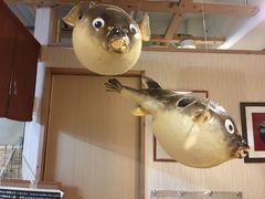 -玄品河豚(那覇國際通里之関)