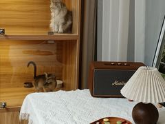 -猫十亿·布偶金渐层·曼基康矮脚猫舍(青年路店)