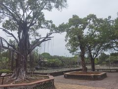 -粤晖园