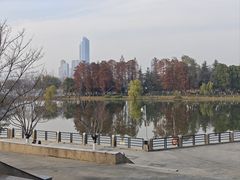 -月湖风景区
