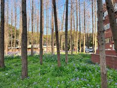 -上海交通大学(闵行校区)