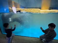 -大连圣亚海洋世界