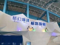 -泉城欧乐堡海洋极地世界