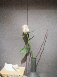 -FineYoga梵音瑜伽·普拉提