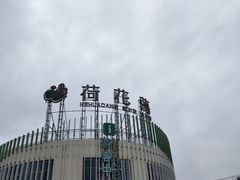 -荷花荡