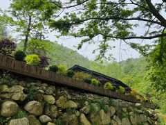 -苍龙峡风景区