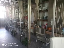 -MAGIC米几发型设计·羊毛卷