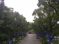 -桂林市榕杉湖景区
