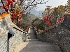 -妙峰山风景名胜区