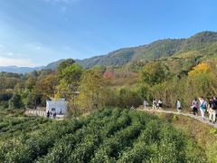 -塔川景区