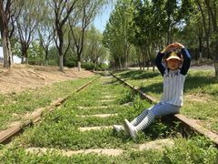 -永定河休闲森林公园