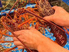 -海月轩海鲜豆捞(紫金塔店)