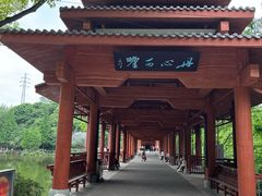 -重庆彩云湖湿地公园