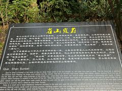 -雀儿山公园