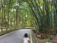 -火炉山森林公园