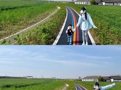 -杭州湾海上花田景区