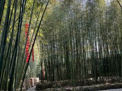 -竹泉村旅游度假区