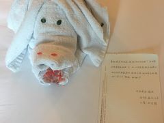 -三亚亚龙湾雅高铂尔曼别墅度假酒店
