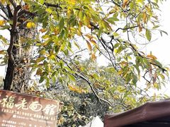 -兴福老面馆(寺路街店)