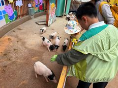 -昆明动物园