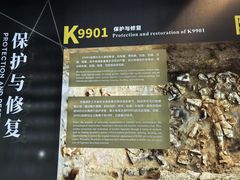 -秦始皇帝陵博物院-丽山园