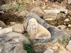 -黑龙潭风景区