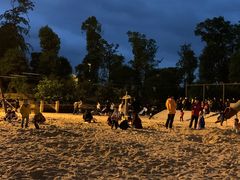 -枫香湖儿童公园