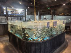 -丹江渔村(首都机场店)